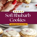 Rhubarb Cookies Recipe