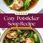 Savory Potsticker and Bok Choy Soup Recipe