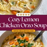 Lemony Chicken Orzo Soup Recipe