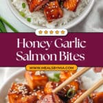 Crispy Honey Garlic Salmon Bites Recipe