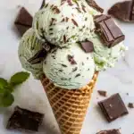 Ninja Creami Mint Chocolate Chip Ice Cream Recipe