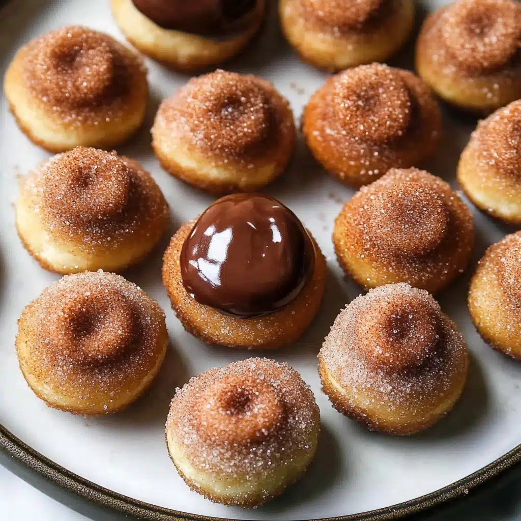 Churro Donut Holes Recipe - Recipe Image