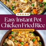Instant Pot Chicken Fried Rice Recipe