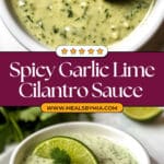 Creamy Garlic Lime Cilantro Sauce Recipe