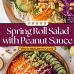 Spring Roll Salad with Peanut Sauce Recipe