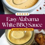 Alabama White BBQ Sauce Recipe