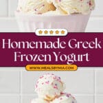 Favorite Greek Frozen Yogurt Recipe
