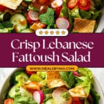 Lebanese Fattoush Recipe