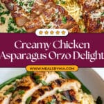 Creamy Parmesan Orzo with Chicken and Asparagus Recipe