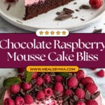 Chocolate Raspberry Mousse Cake Recipe