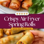 Air Fryer Spring Roll Recipe