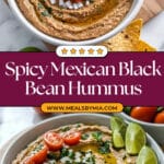 Mexican-Style Black Bean Hummus Recipe