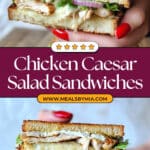 Chicken Caesar Salad Sandwich Recipe