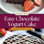 3 Ingredient Chocolate Yogurt Cake Recipe